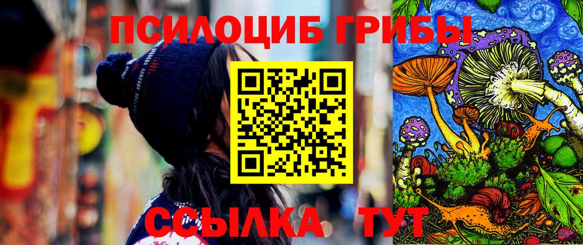 Галлюциногенные грибы MAGIC MUSHROOMS  Вход с VPN  Сосновоборск 
