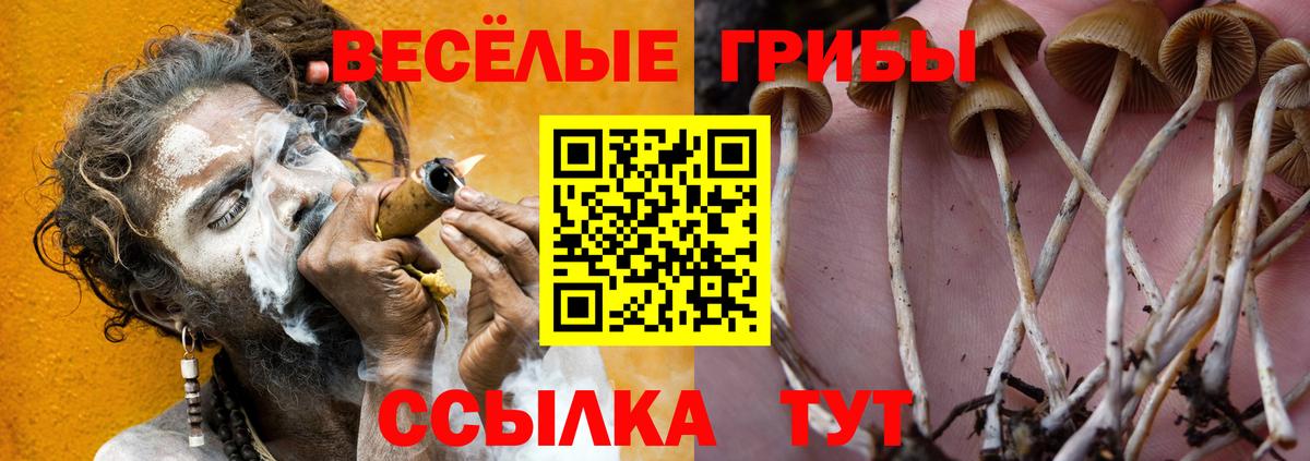 Галлюциногенные грибы MAGIC MUSHROOMS Сосновоборск